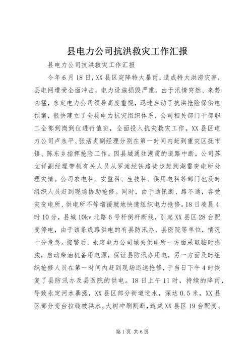 县电力公司抗洪救灾工作汇报 (6).docx