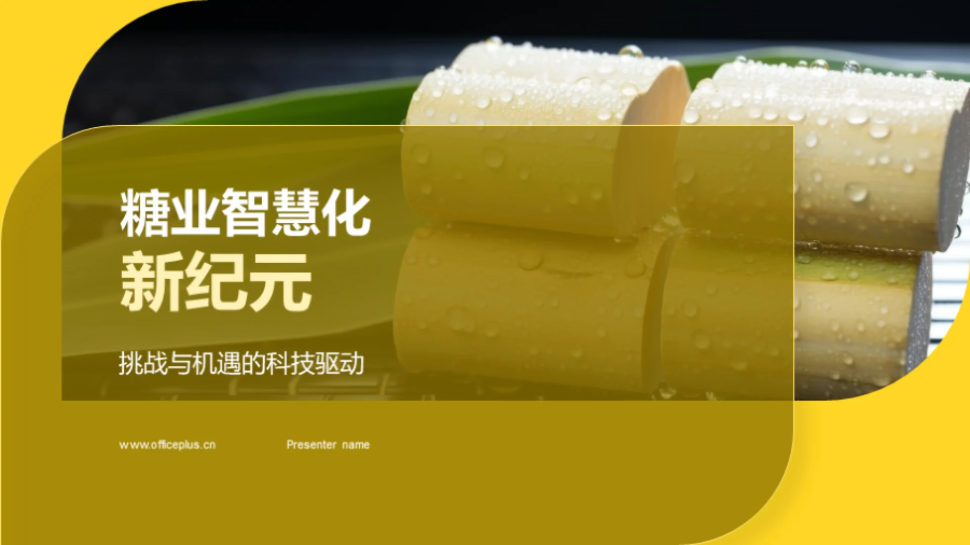 糖业智慧化新纪元