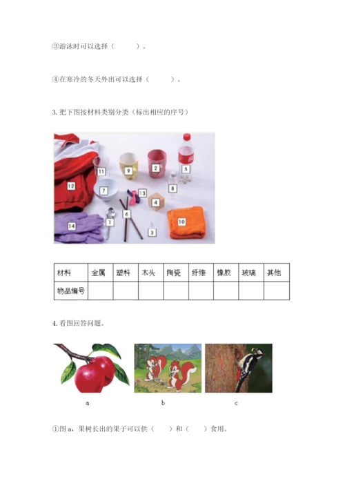 教科版二年级上册科学期末测试卷精品（必刷）.docx