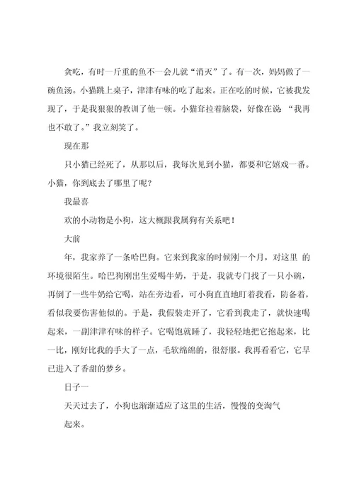 我喜欢的小动物(600字)作文