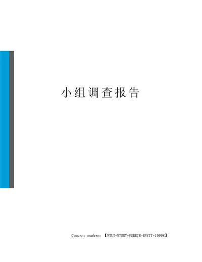 小组调查报告