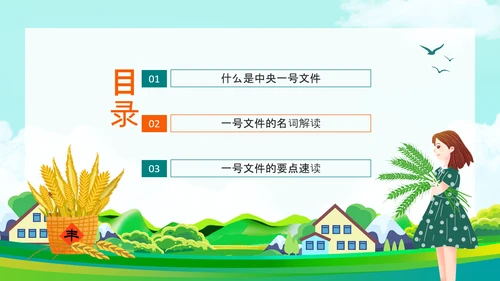 国务院全面推进乡村振兴PPT模板