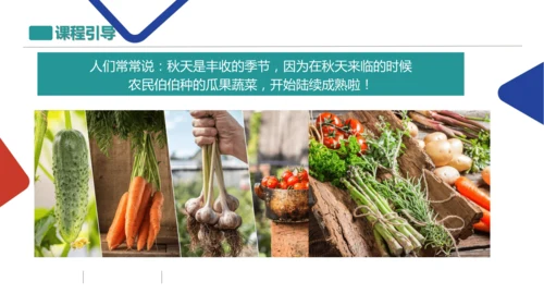 各式各样的蔬菜