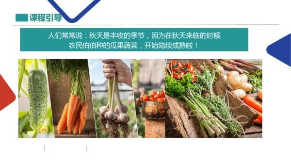各式各样的蔬菜
