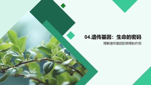 生命奥秘：解密生物学