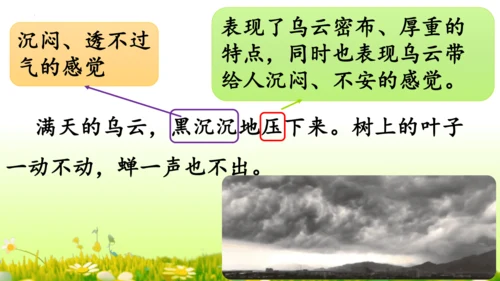 16.雷雨  课件