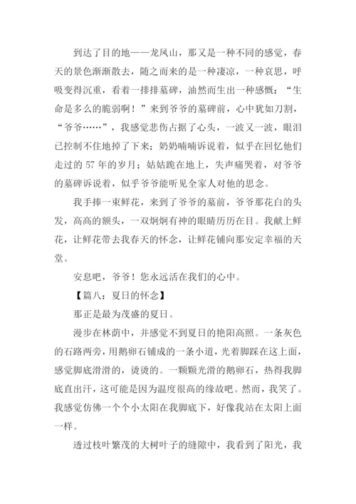 什么的怀念作文.docx