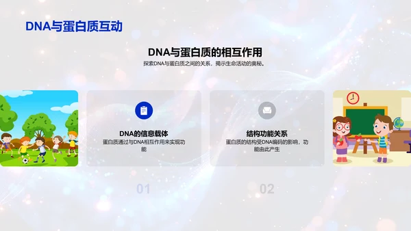 DNA结构与功能