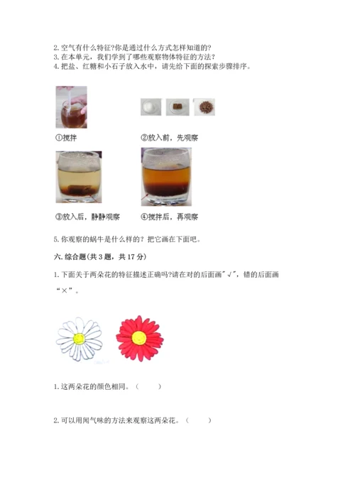 教科版一年级下册科学期末测试卷精品（a卷）.docx