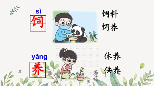 统编版二年级下册  语文园地二第一课时  课件