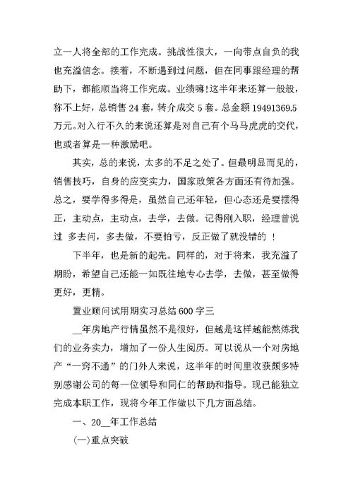 置业顾问试用期实习总结600字