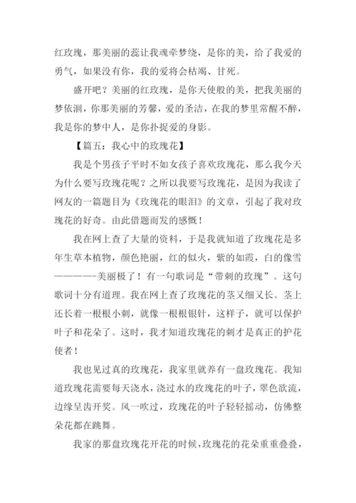 我心中的玫瑰作文.docx