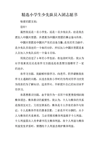 精选小学生少先队员入团志愿书