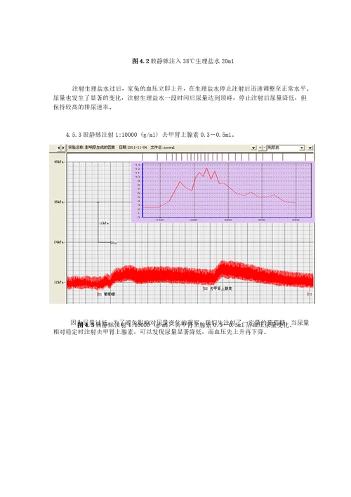 生理实验尿生成的调节