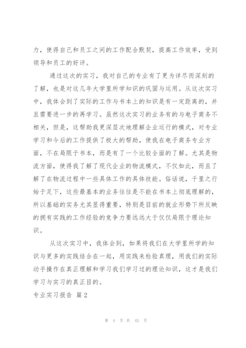 专业实习报告模板合集10篇.docx