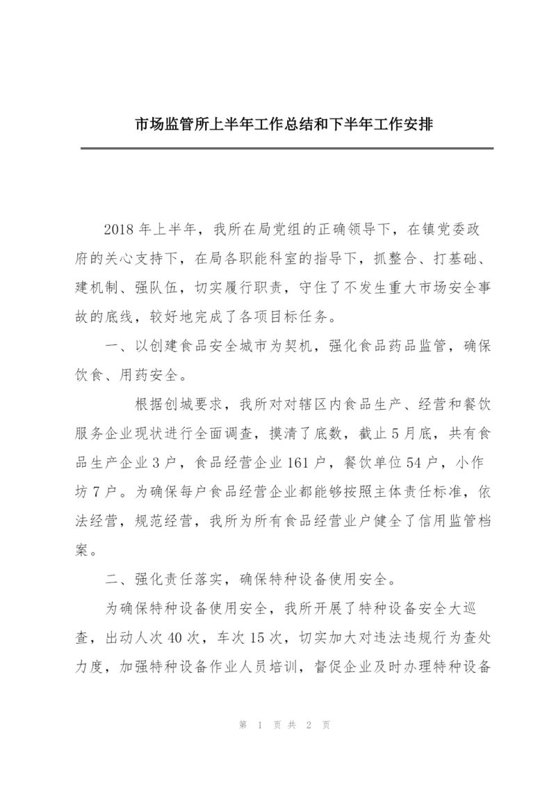 市场监管所上半年工作总结和下半年工作安排.docx