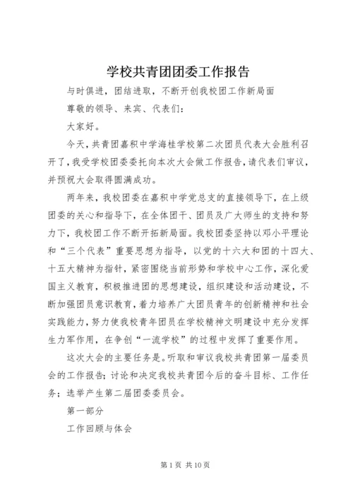 学校共青团团委工作报告 (6).docx