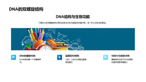 DNA：揭示生命奥秘