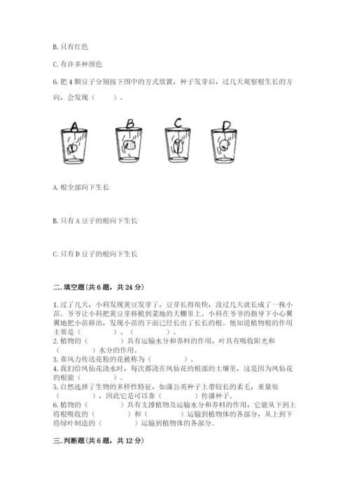 教科版科学四年级下册第一单元《植物的生长变化》测试卷完整版.docx