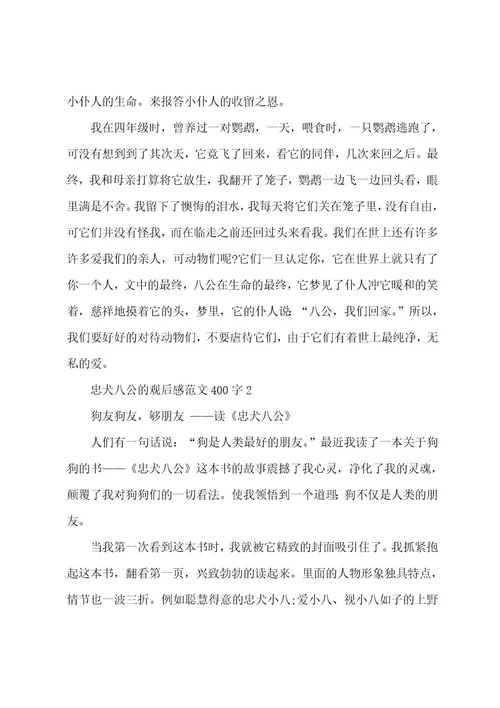 忠犬八公的观后感范文400字