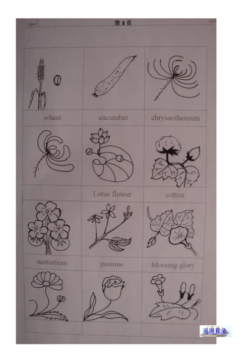 小学英语课堂教学简笔画集锦.docx