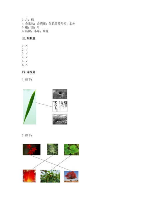 教科版科学一年级上册第一单元《植物》测试卷含完整答案（考点梳理）.docx