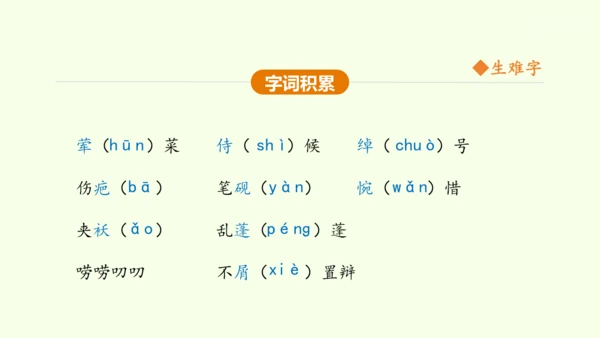 第5课 孔乙己 课件(共45张PPT)-【课堂无忧】新课标同步核心素养课堂