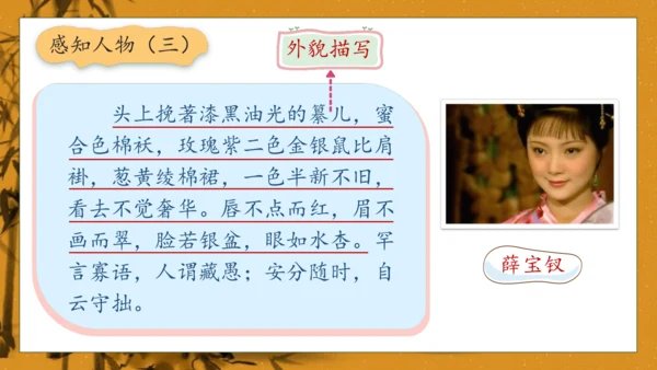 【核心素养】部编版语文五年级下册-8.红楼春趣（课件）
