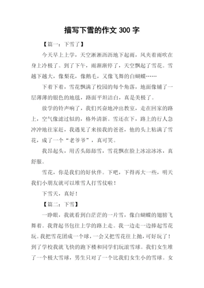 描写下雪的作文300字.docx