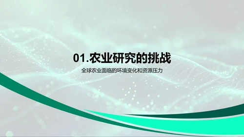 农业科研述职报告PPT模板