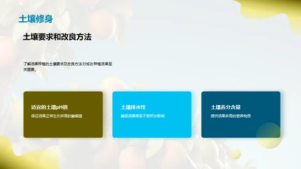 油果栽培全方位解析