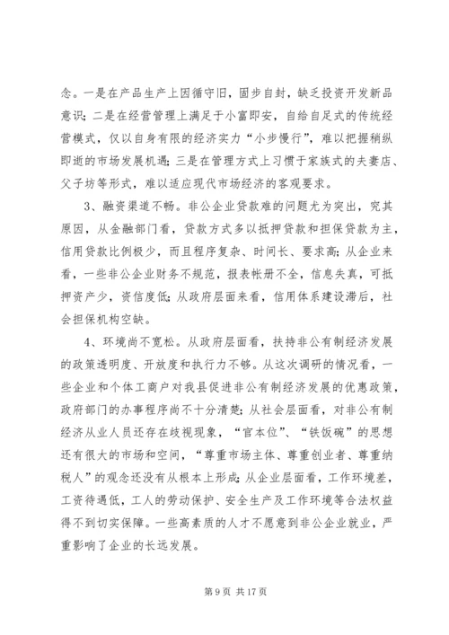 县非公有制经济发展情况自查汇报.docx