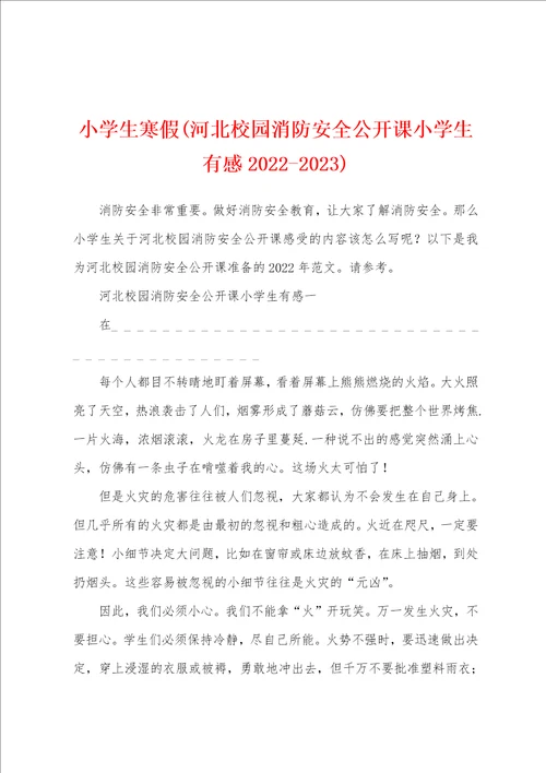 小学生寒假河北校园消防安全公开课小学生有感20222023