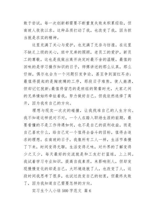 实习生个人小结500字范文.docx