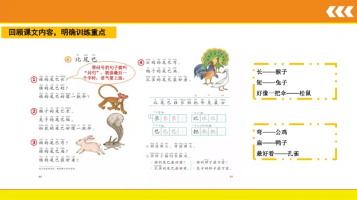 6 比尾巴  课件