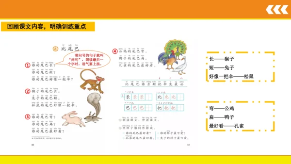 6 比尾巴  课件