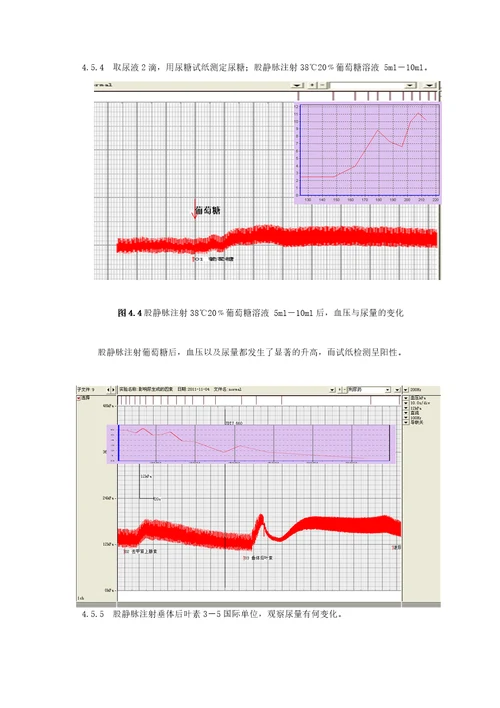 生理实验尿生成的调节