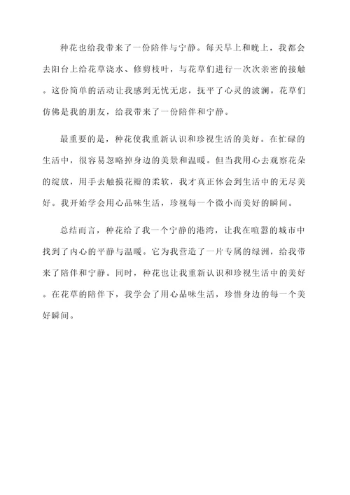 种花带来的感想