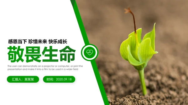 绿色唯美植物生长敬畏生命发芽PPT模板