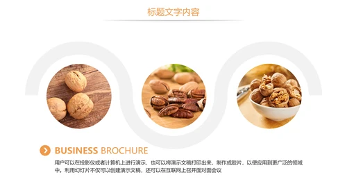 休闲美食美味坚果干果核桃宣传PPT模板
