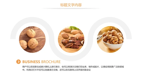 休闲美食美味坚果干果核桃宣传PPT模板