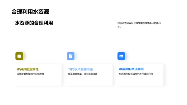 绿色薯种：环保农业