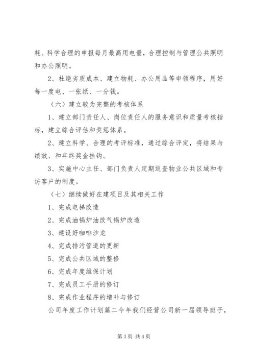 新公司年度工作计划.docx