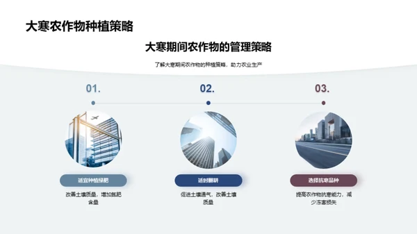 大寒节气农业探析