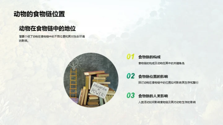 动物世界的奥秘