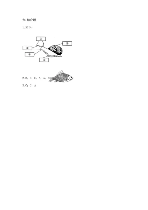 教科版一年级下册科学期末测试卷附答案【研优卷】.docx
