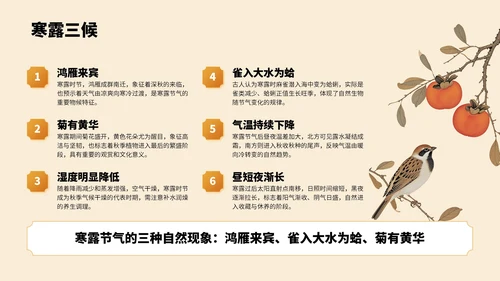 橙色中国风寒露节气PPT模板