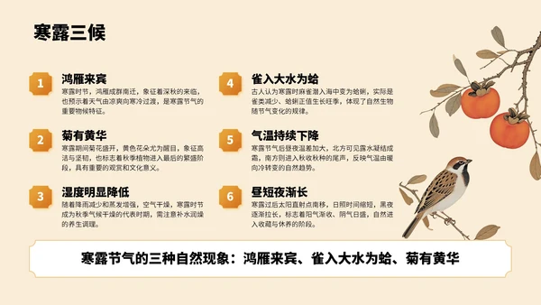 橙色中国风寒露节气PPT模板