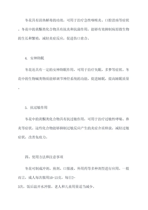 中药冬花的功效和作用