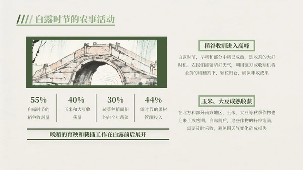 绿色中国风白露节气主题班会PPT模板